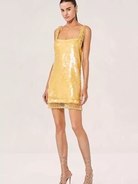 gold old hollywood dress Elowen Fringe Mesh Mini Dress – Sesidy
